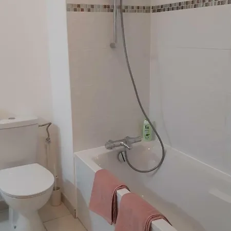 Le Carre Des Fleurs Apartment Strasbourg